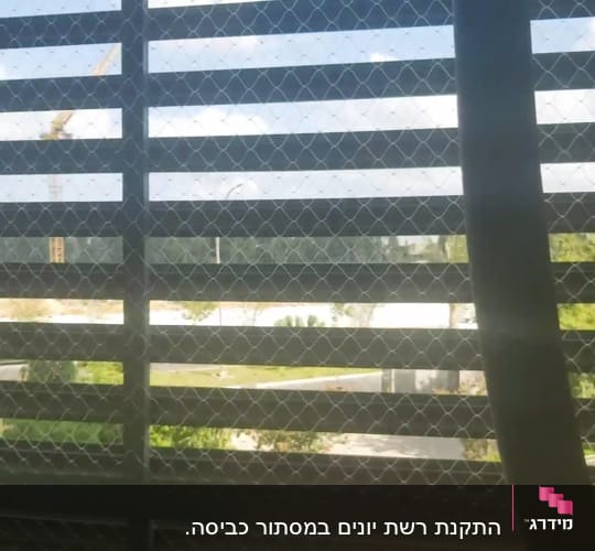 רשת למניעת כניסת יונים על חלון
